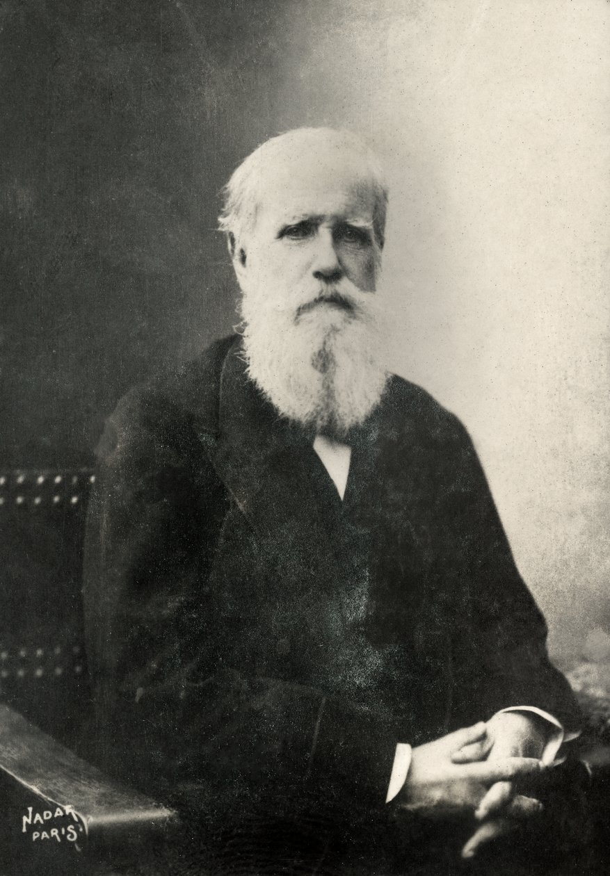  od Paul Nadar