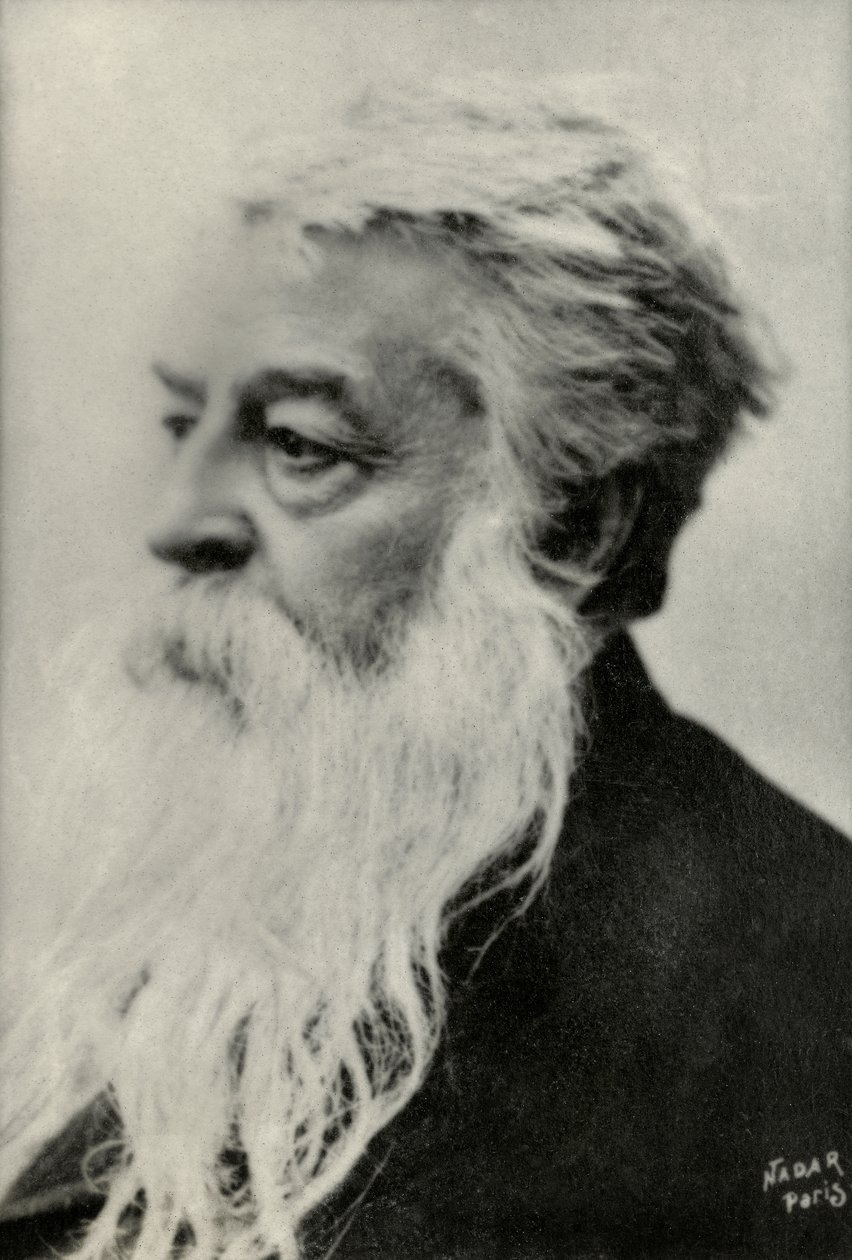 Portrét Ernesta Messonniera (foto) od Paul Nadar
