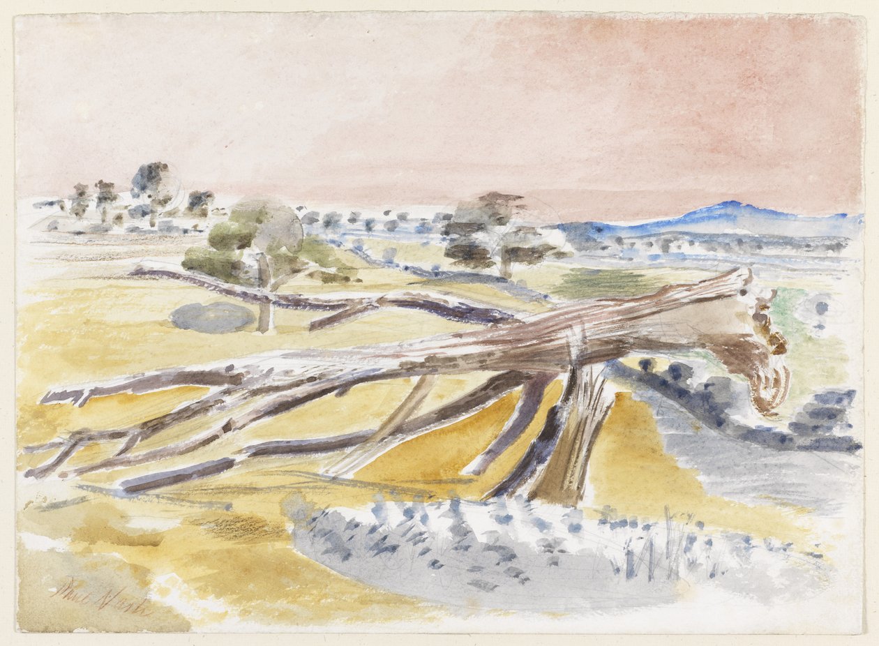 Monster Field, Studium II od Paul Nash