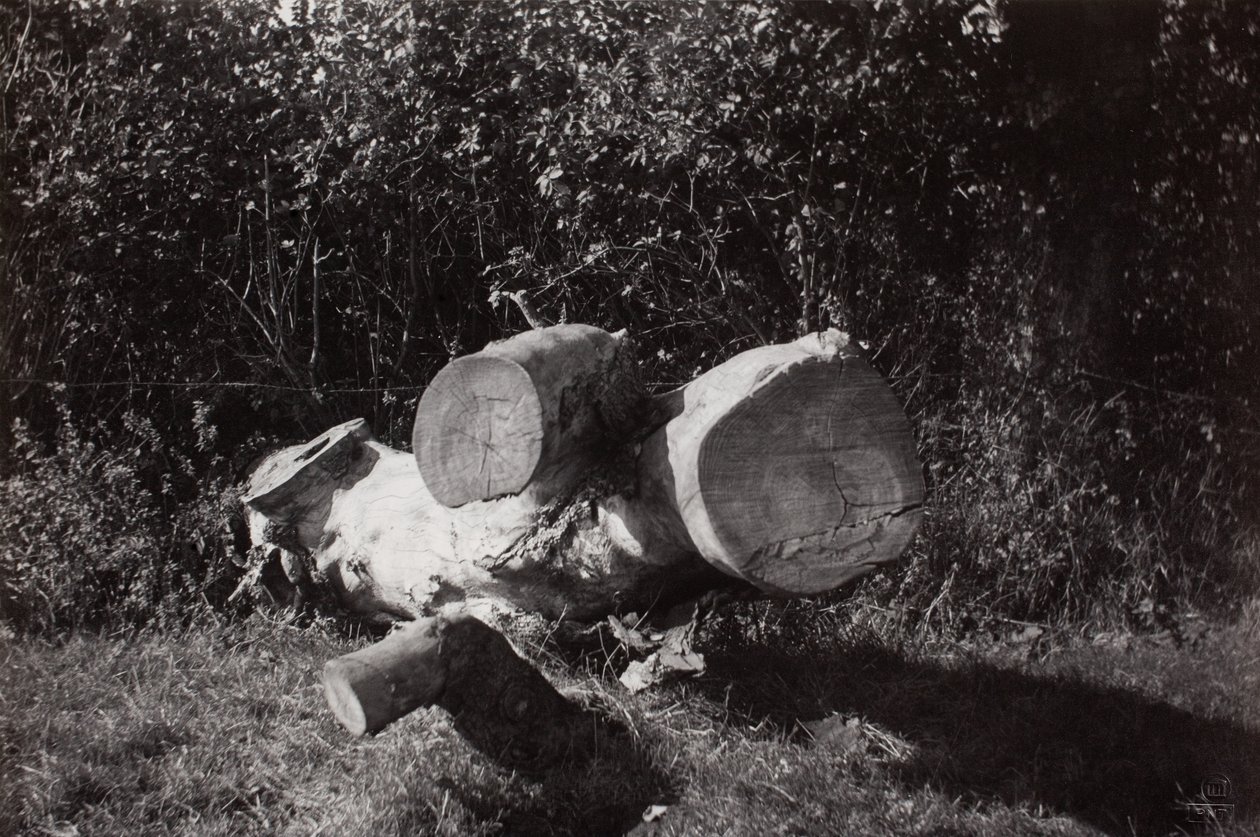 Vyhledání objektu od Paul Nash