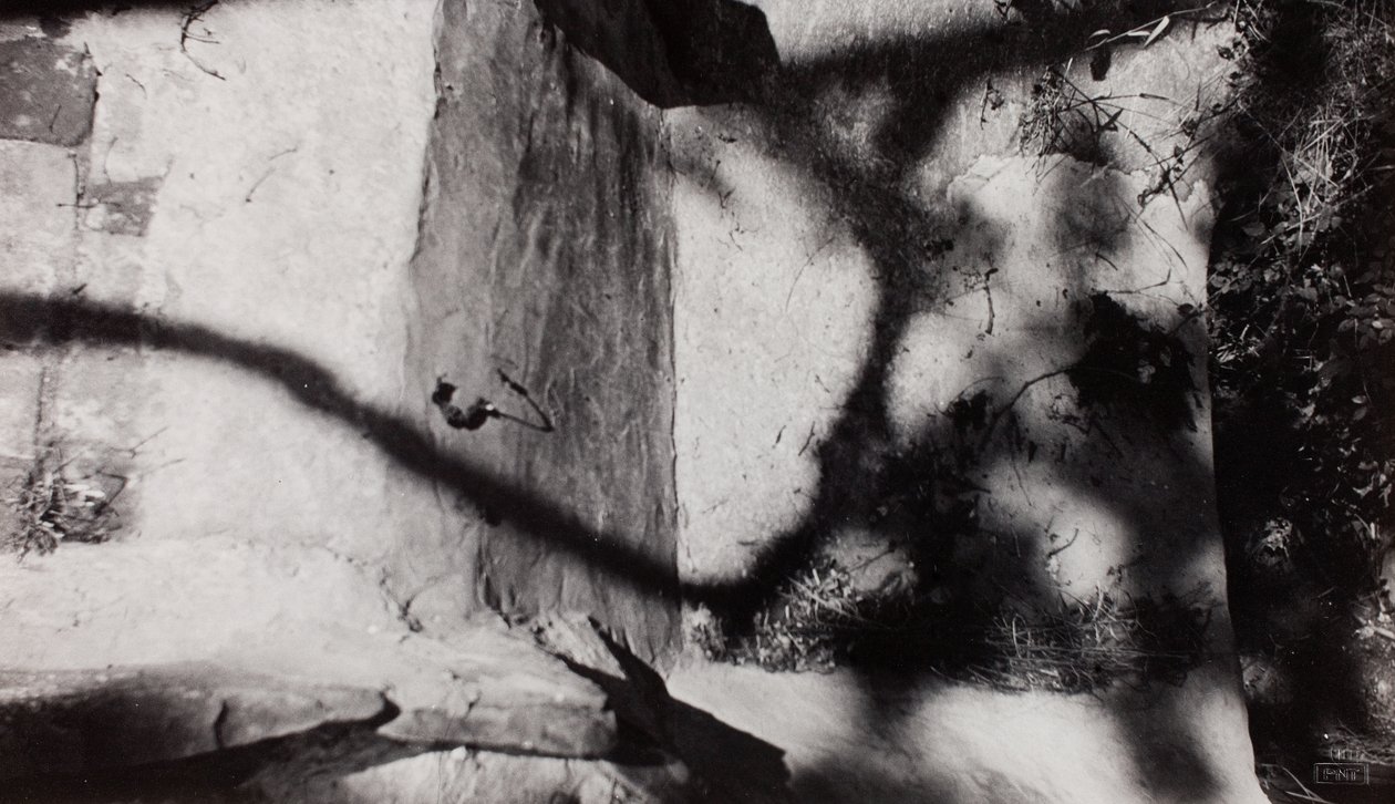 Step Edge; pod Nashovou zahradou u New House, Rye, Sussex od Paul Nash
