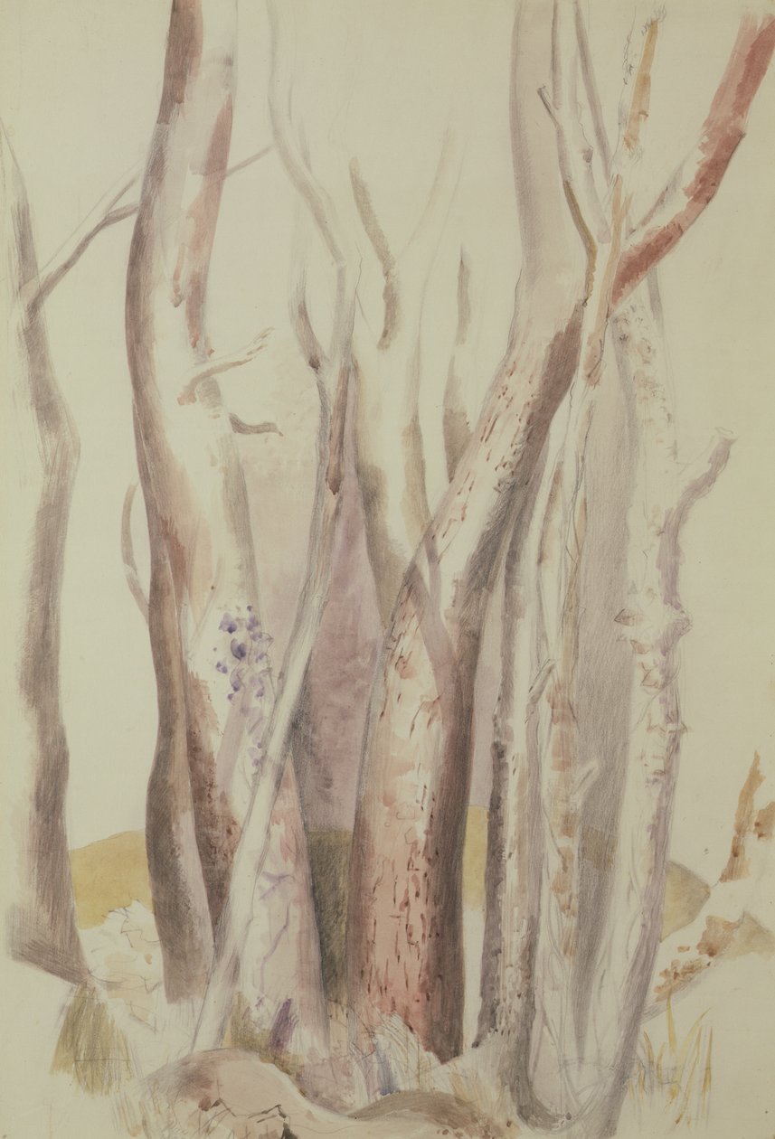 Studie zalesněné krajiny od Paul Nash