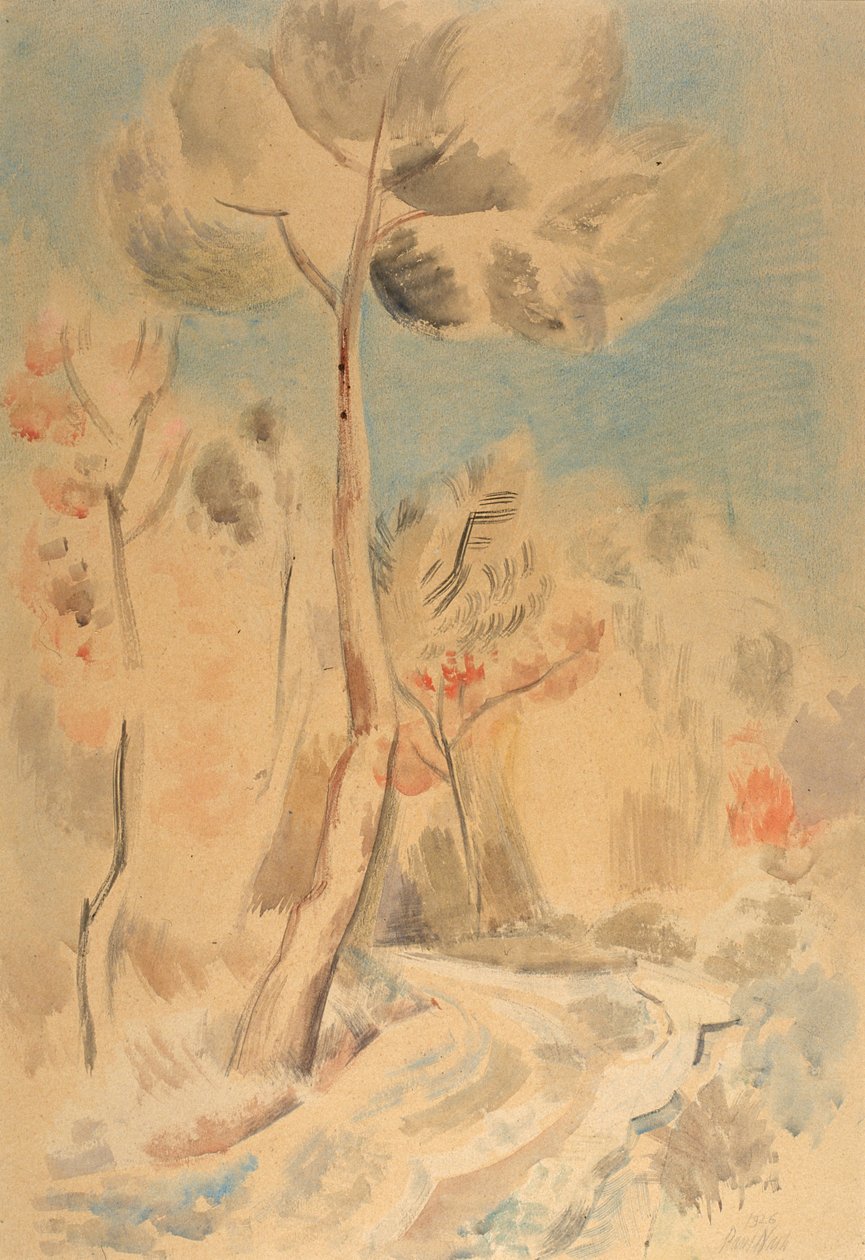 The Pine (tužka a akvarel na papíře) od Paul Nash