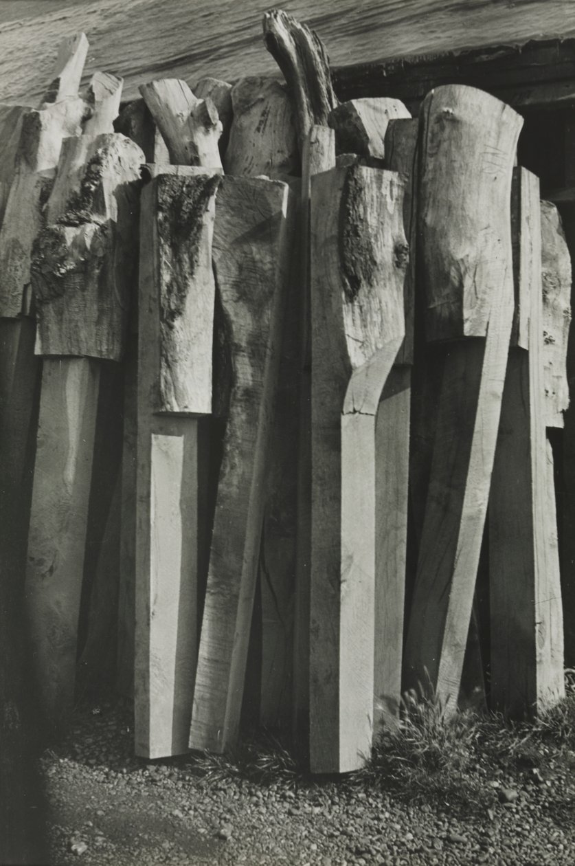 Totemy, Stará loděnice, Žito od Paul Nash