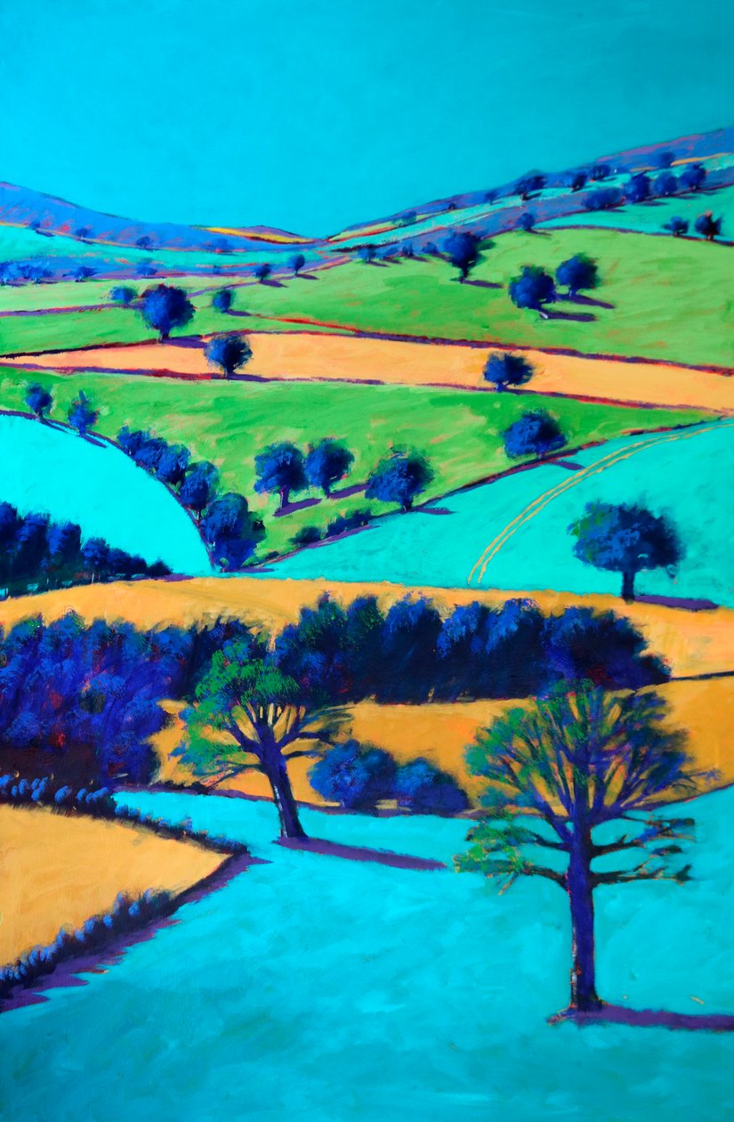Cotswold Valley, 2024 (akryl na desce) od Paul Powis