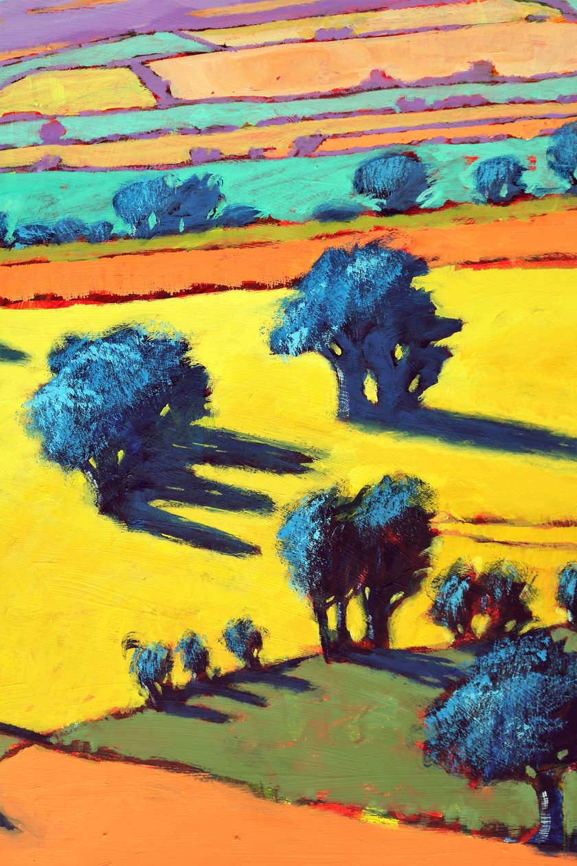 Cotswold Way zblízka 2 (akryl na palubě) od Paul Powis