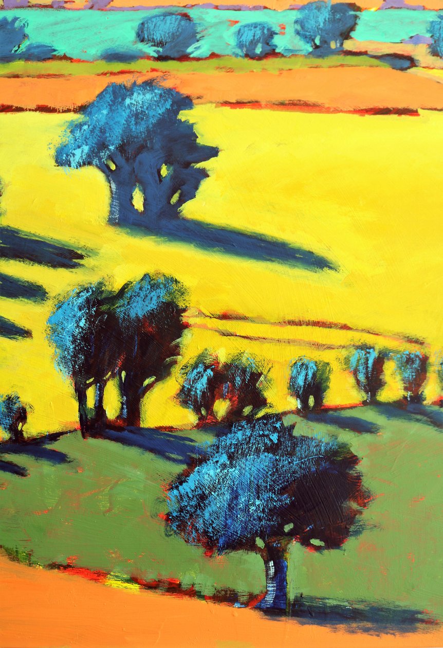 Cotswold Way zblízka 5 (akryl na palubě) od Paul Powis