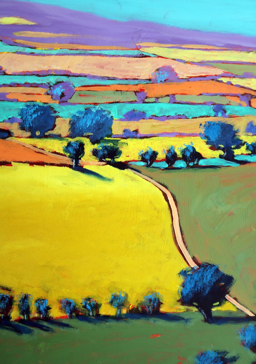 Cotswold Way zblízka 7 (akryl na palubě) od Paul Powis