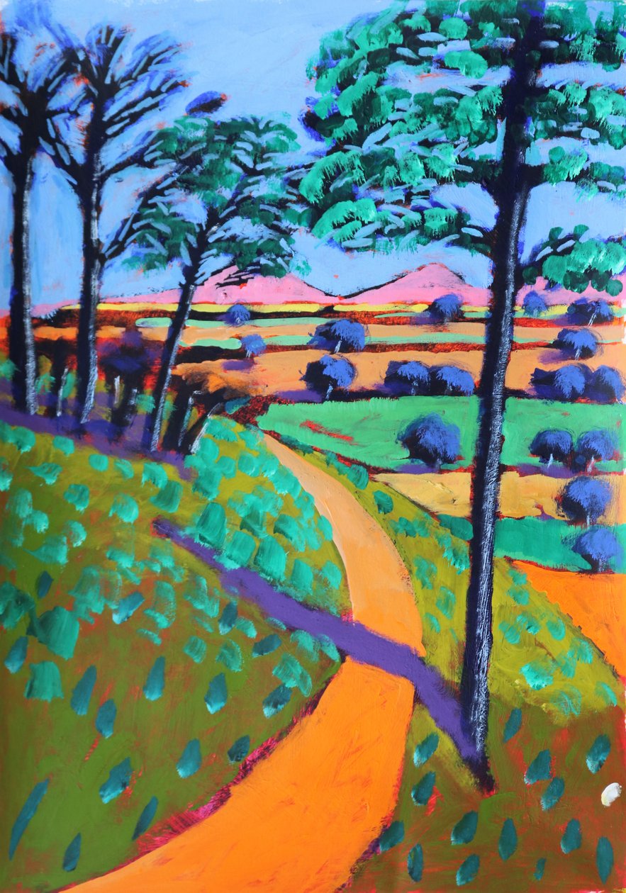 Swineyard Hill, 2021 (akryl na papíře) od Paul Powis