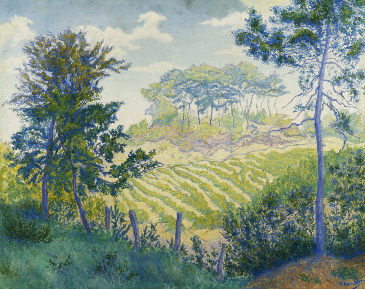 Vinice pod borovicemi; The Vineyards under the Pines, c. 1898 od Paul Elie Ranson
