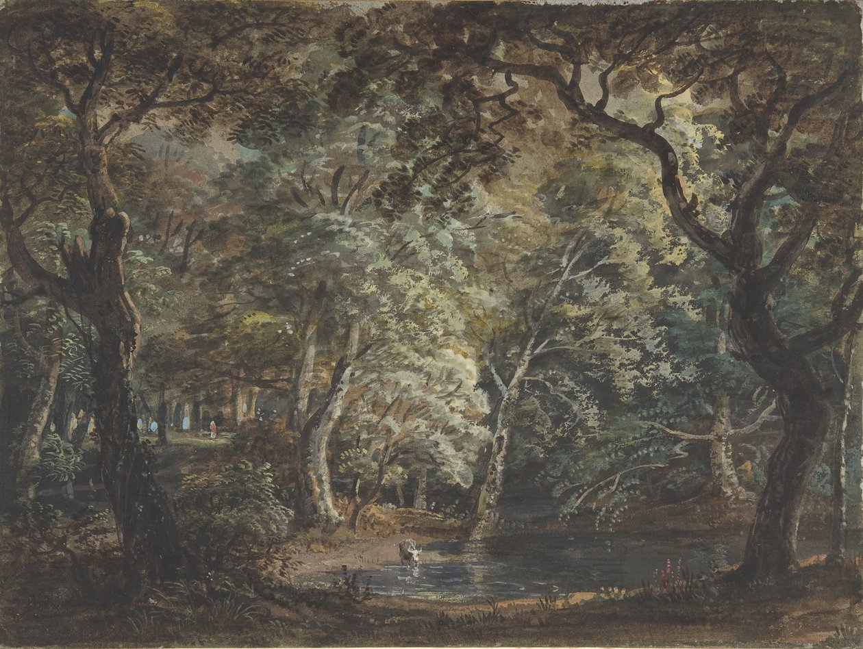 Windsorský velký park, 1790-99. od Paul Sandby