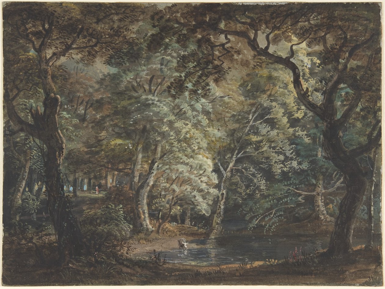 Velký park Windsor, asi 1790-99 (akvarel) od Paul Sandby