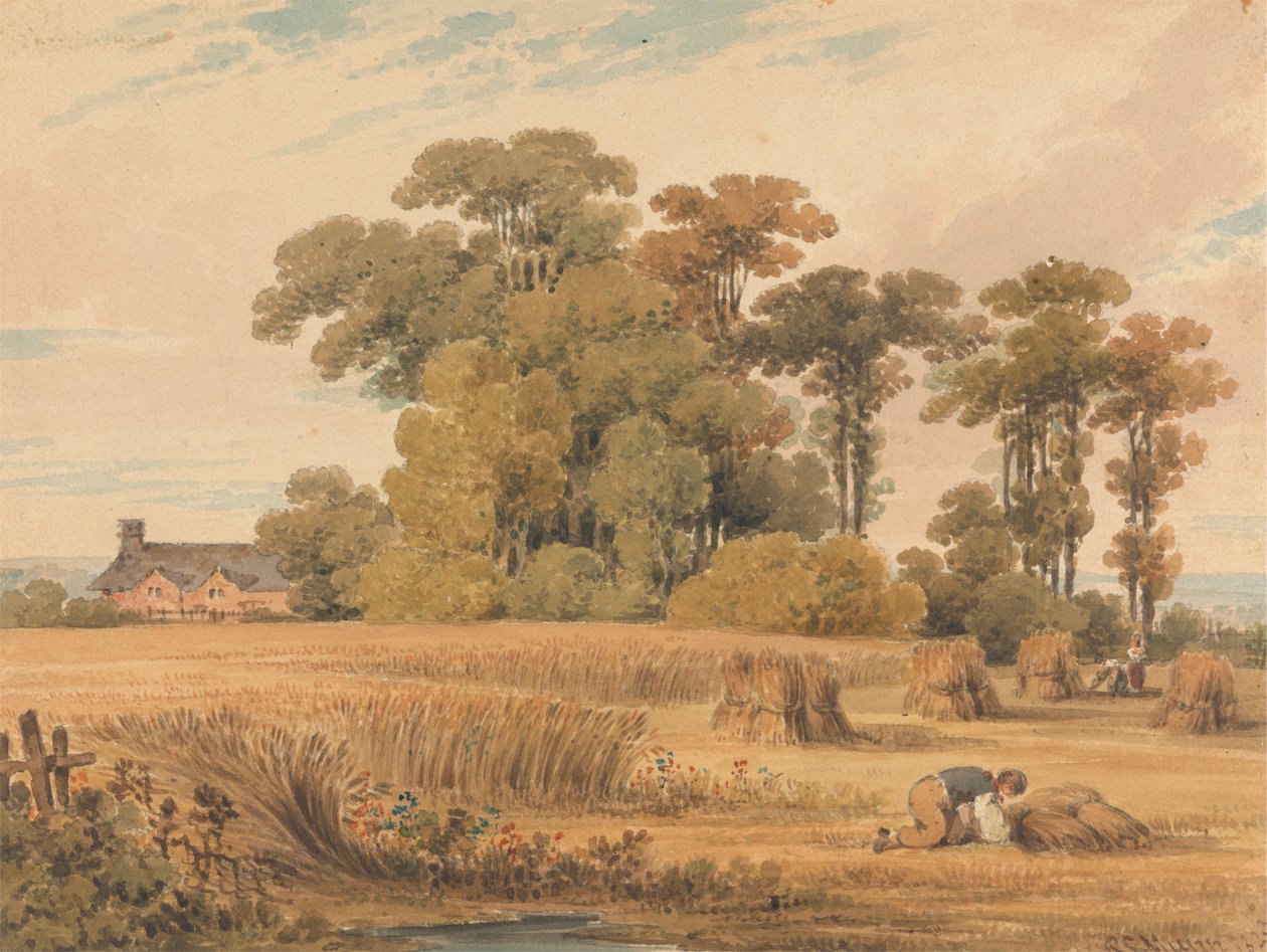 Kukuřičné pole od Paul Sandby Munn