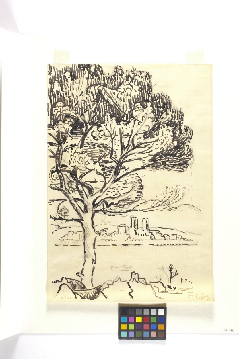 Antibes, Umbrella Pine V popředí (Antibes, Pin Pignon Au Premier Plan) (kresba černou tužkou na žlutohnědý papír) od Paul Signac