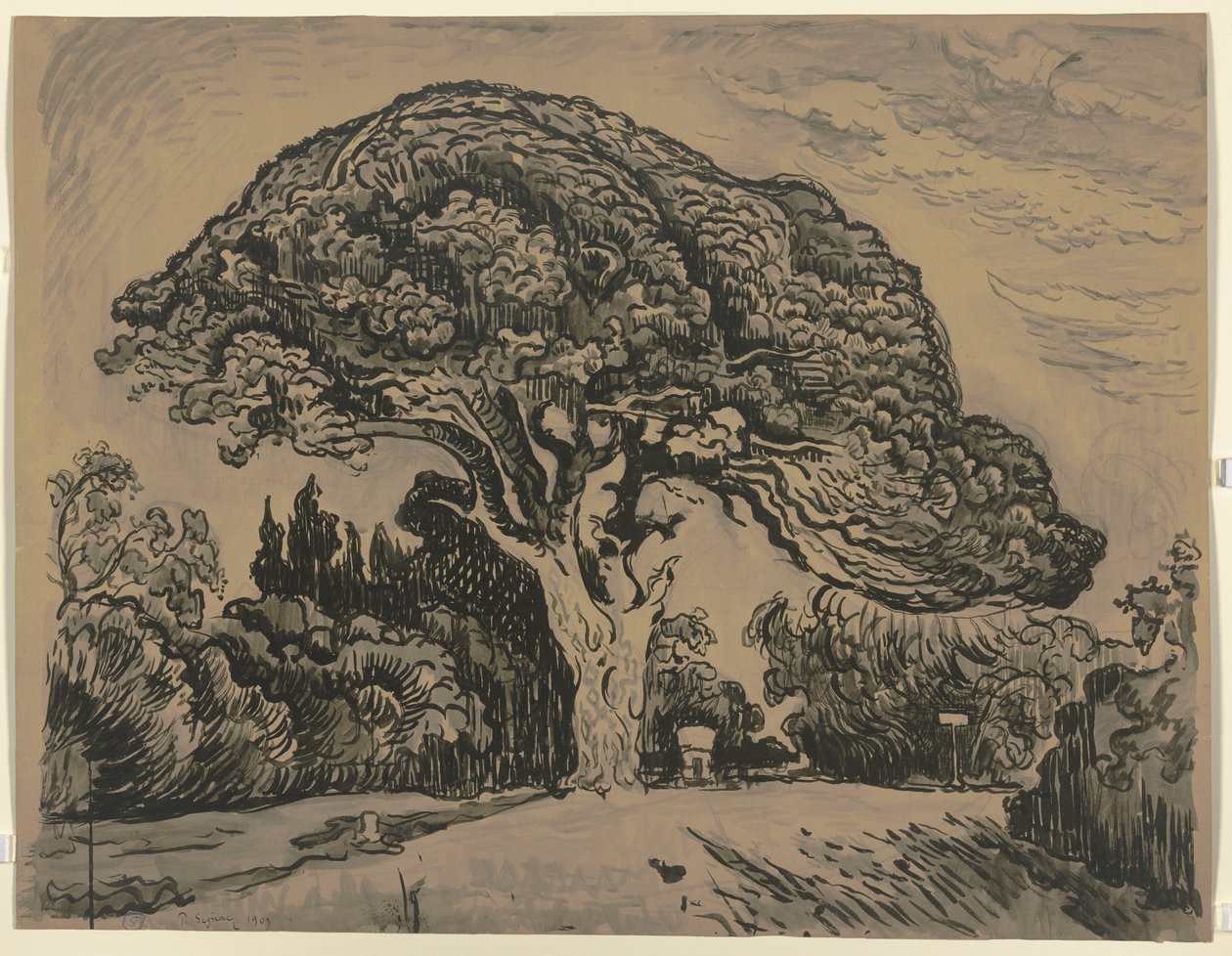 Le Pin Bertaud od Paul Signac