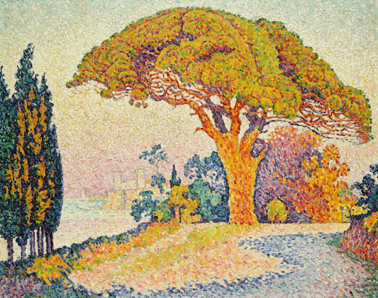 Borovice v Bertaud, Saint-Tropez od Paul Signac