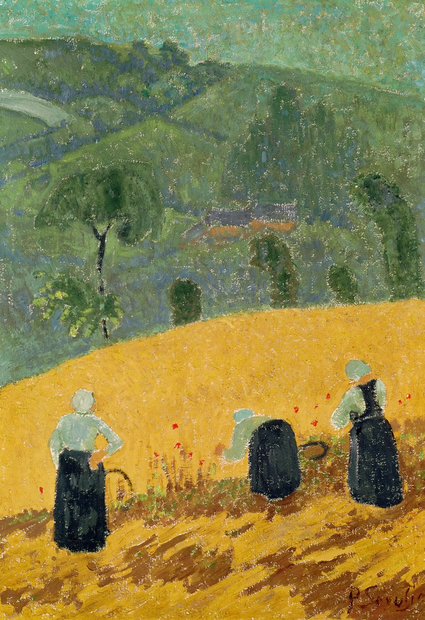 Sklizeň od Paul Sérusier