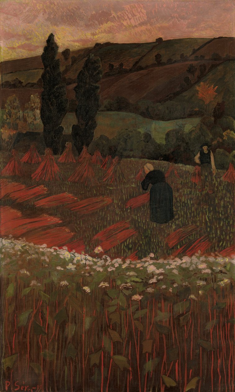Sklizeň pohanky od Paul Sérusier