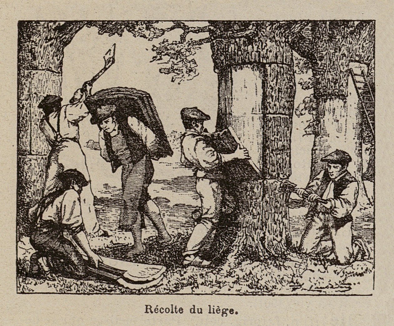  od Paul de Laubadere