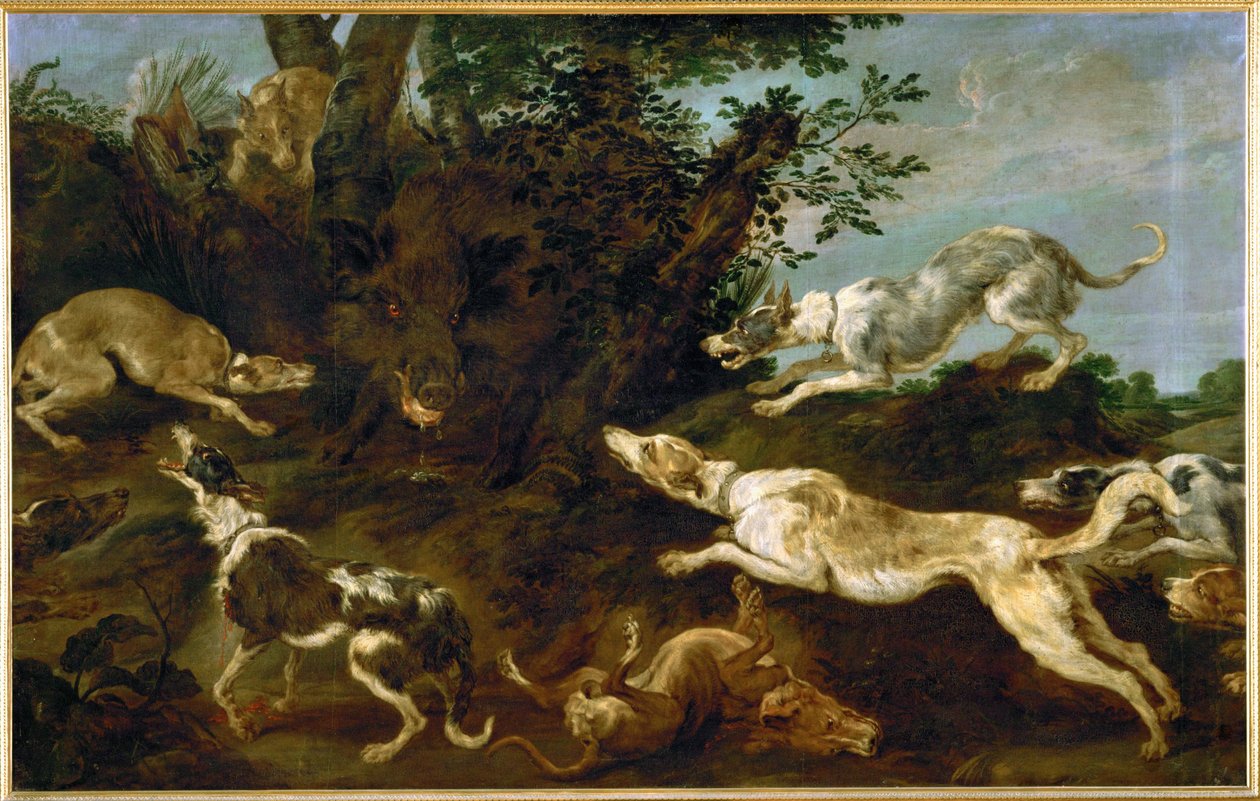 Lov divočáků od Paul de Vos