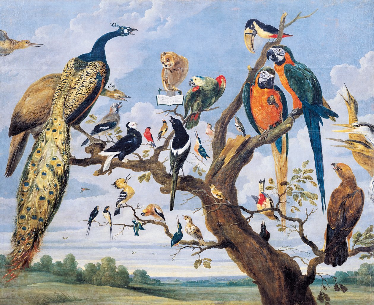 Koncert ptáků, Paul de Vos (cca 1591-1678), Nizozemsko od Paul De Vos