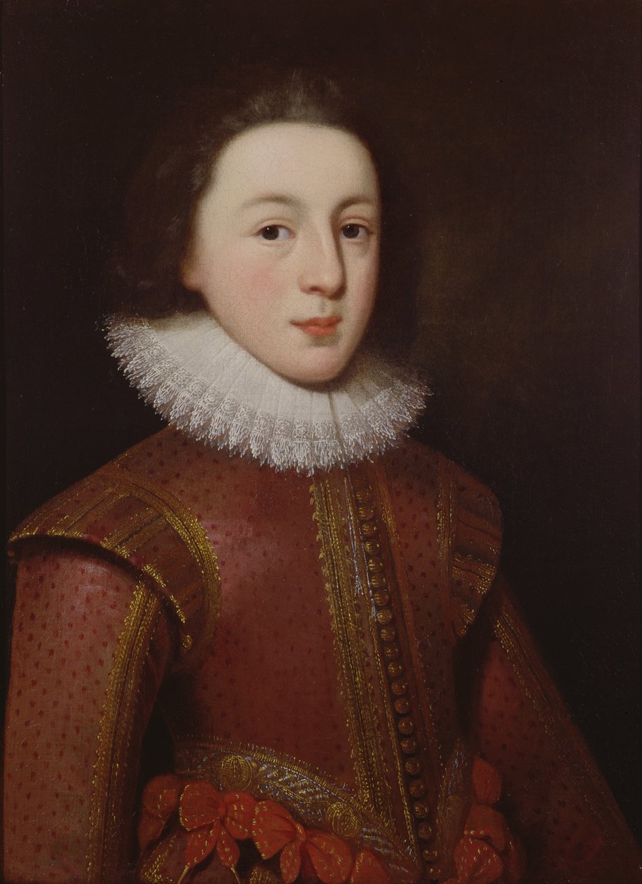 Portrét Henryho, prince z Walesu od Paul van Somer