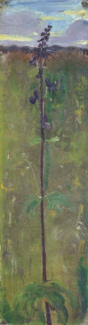 Eisenhut od Paula Modersohn Becker