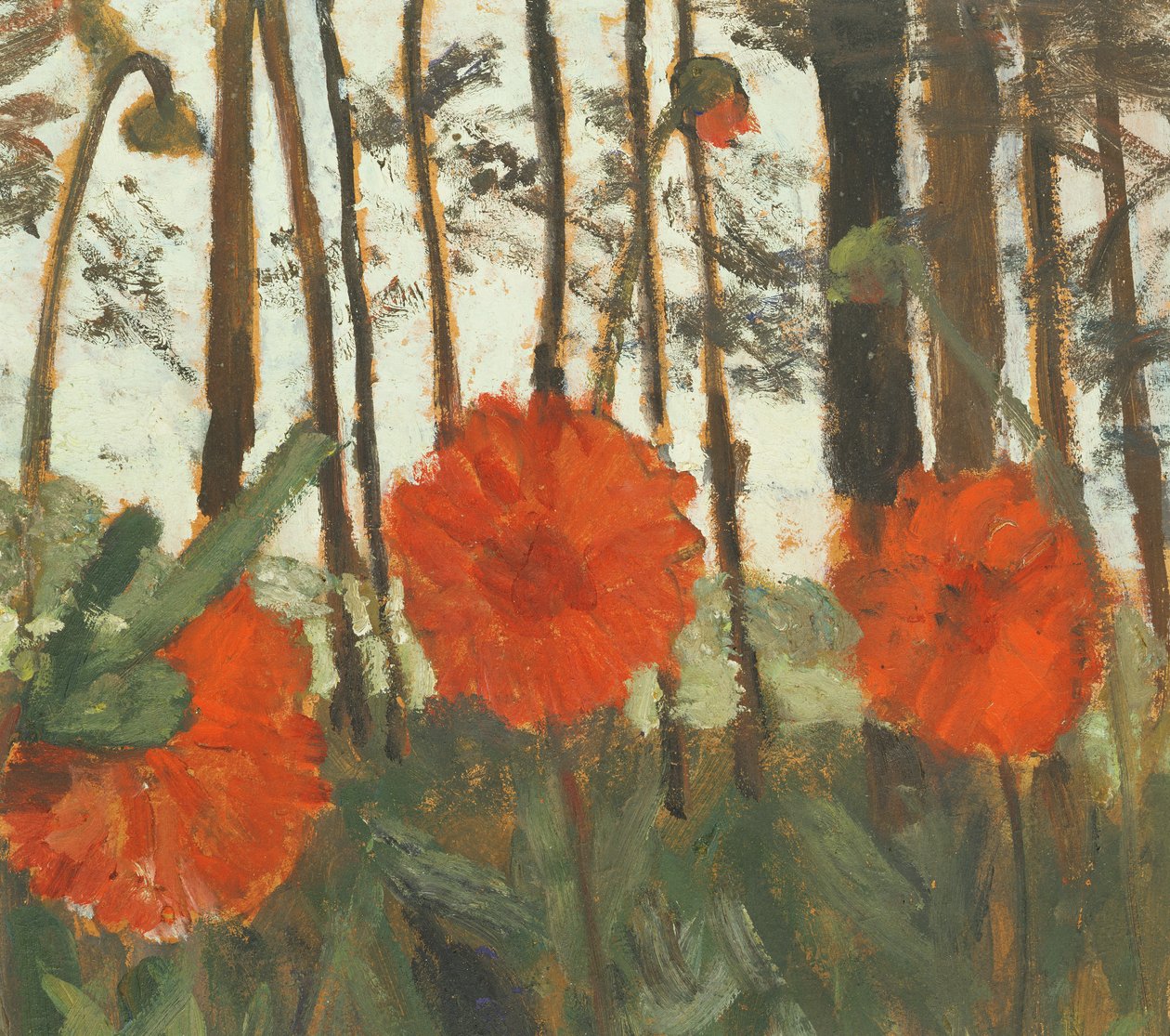 Vlčí máky na kraji lesa od Paula Modersohn Becker