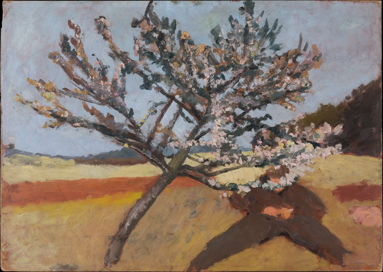 Mann unter einem blühenden Baum liegend od Paula Modersohn-Becker