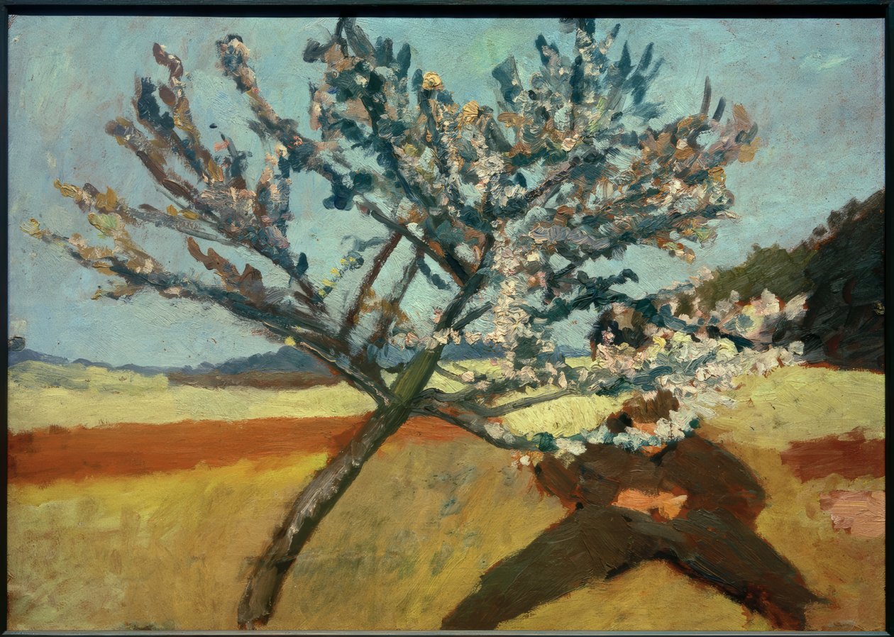 P.Modersohn-Becker, Muž ležící pod rozkvetlým stromem od Paula Modersohn Becker