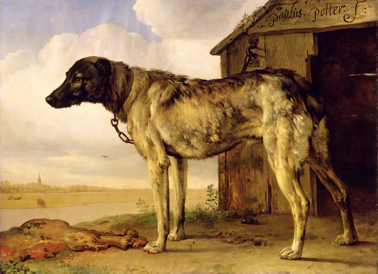 Pes na řetězu, 1653-4 od Paulus Potter
