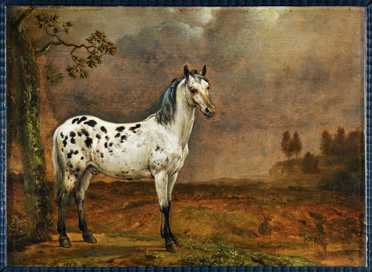 Le cheval pie - kůň s kapkou... od Paulus (attr.to) Potter