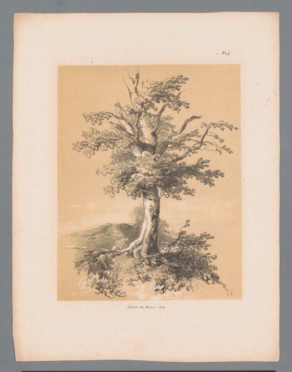 Výložník Malebné tváře od Pauluse Lauterse (název série) Etrennes pittoresques pour 1839, od Lauterse (název série) od Paulus Lauters