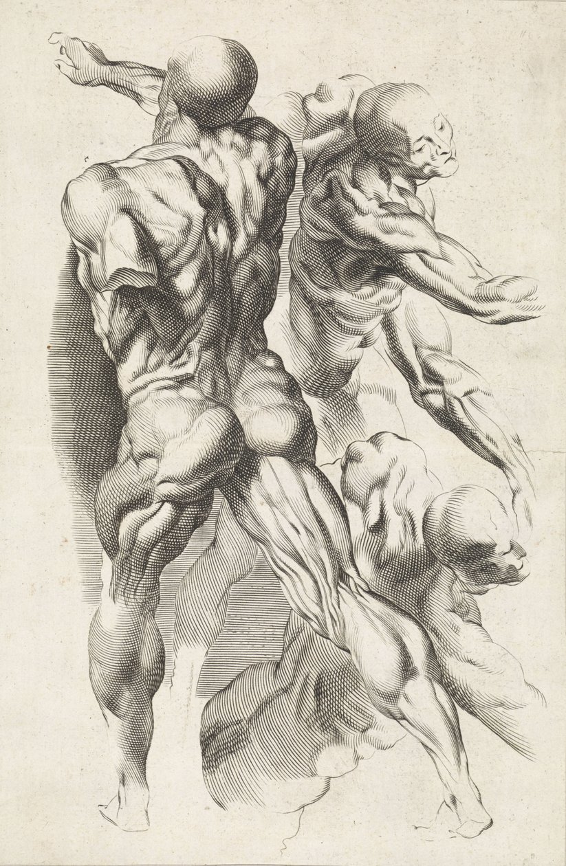 Anatomická studie tří postav s nataženými pažemi Kniha kreslení Petera Paula Rubense (název série) od Paulus Pontius