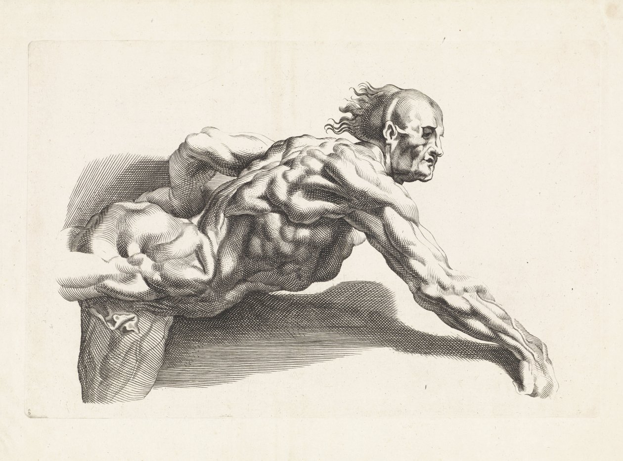 Anatomická studie šikmého muže Kniha kreslení Petera Paula Rubense (název série) od Paulus Pontius