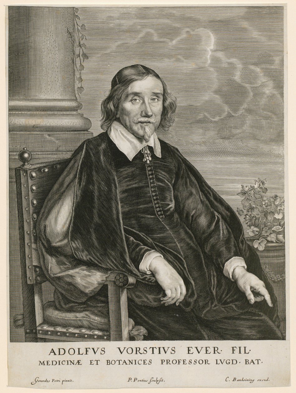 Portrét Adolpha Vorsta, profesora v Leidenu od Paulus Pontius