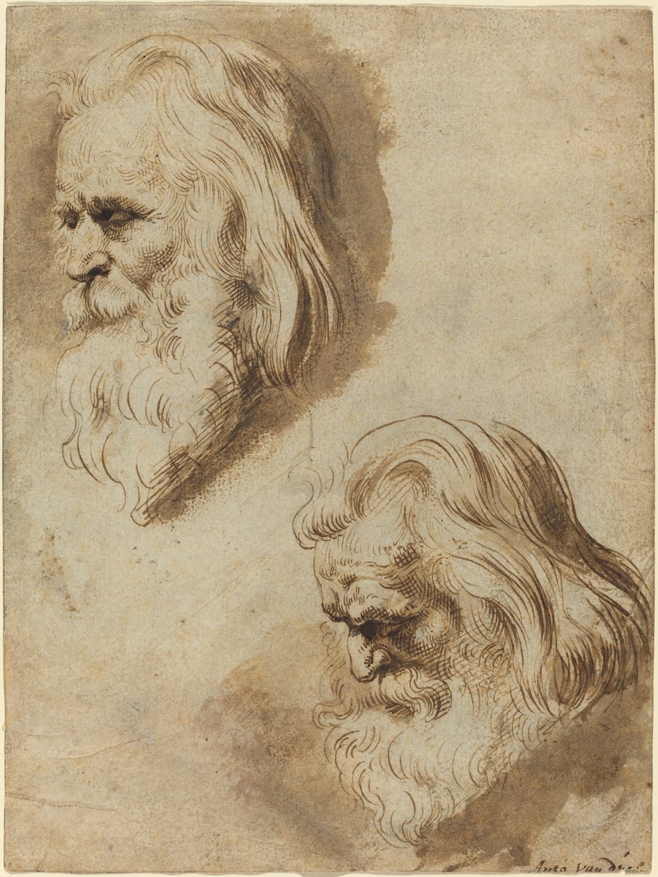 Dvě studie hlavy staršího muže od Paulus Pontius after Sir Peter Paul Rubens