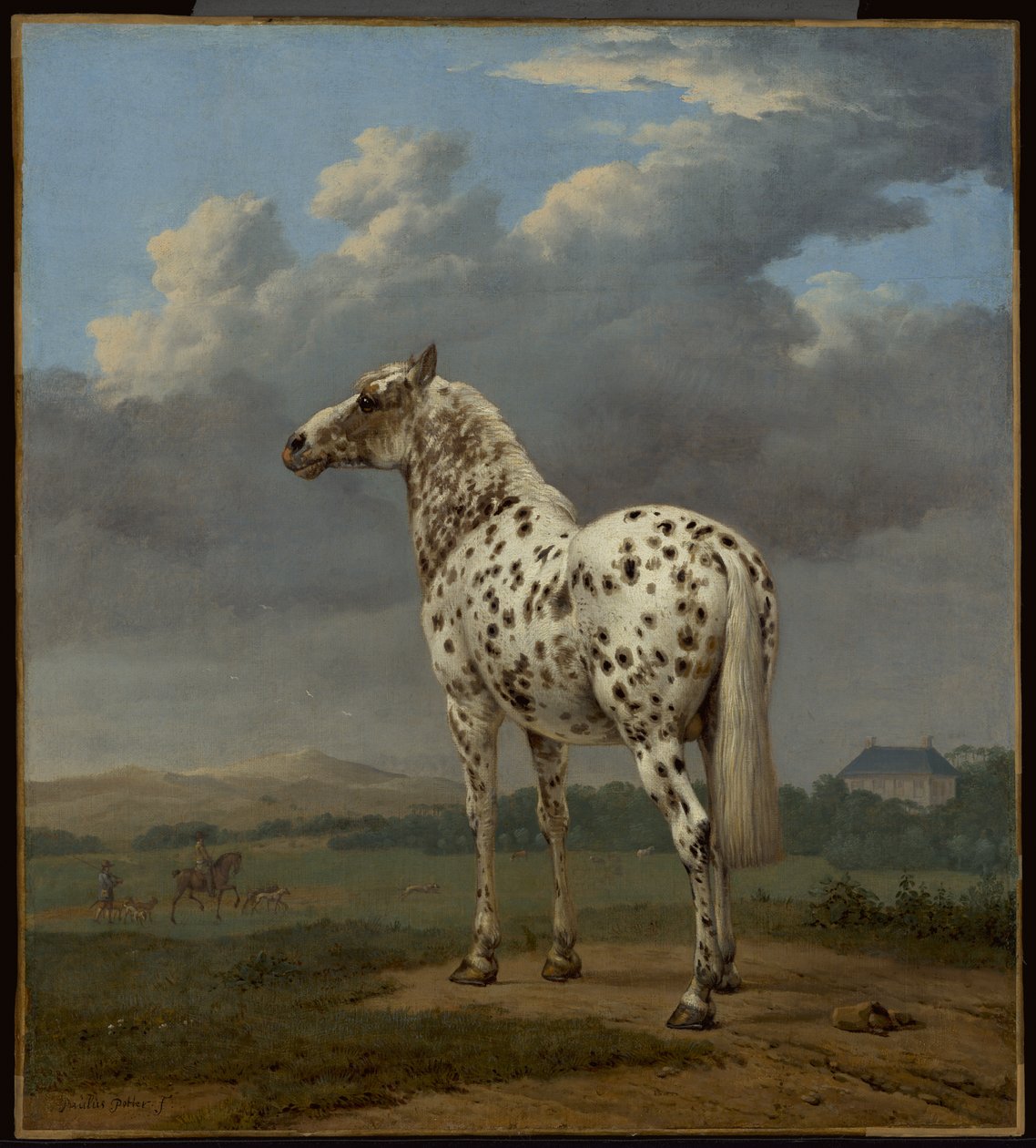 Kůň "Piebald" od Paulus Potter
