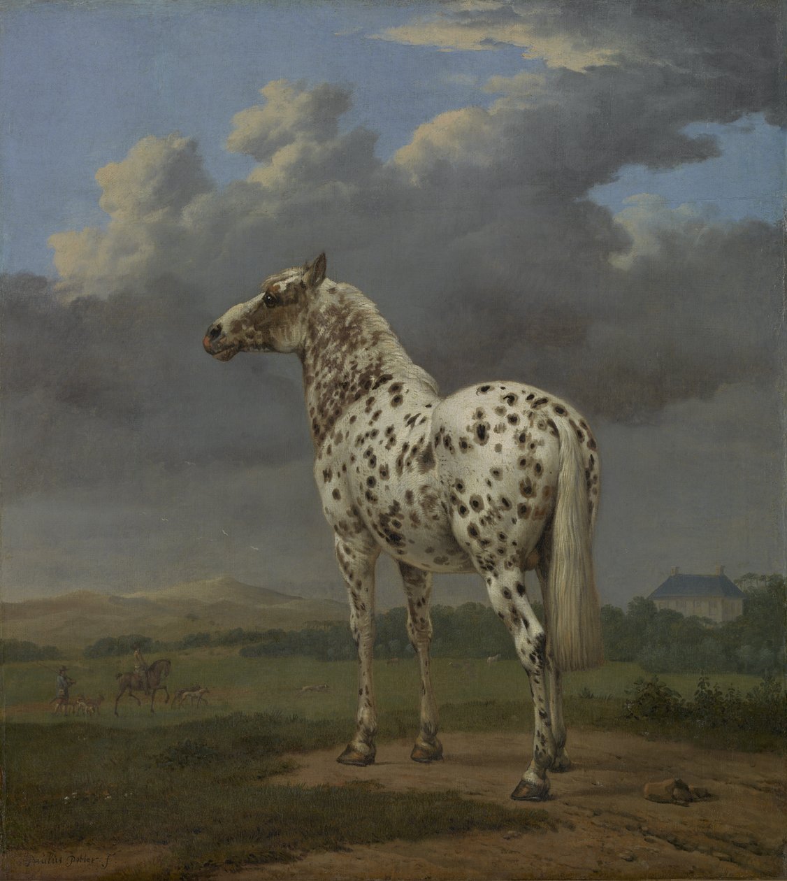 "Piebald" kůň, kolem 1650-4 (olej na plátně) od Paulus Potter