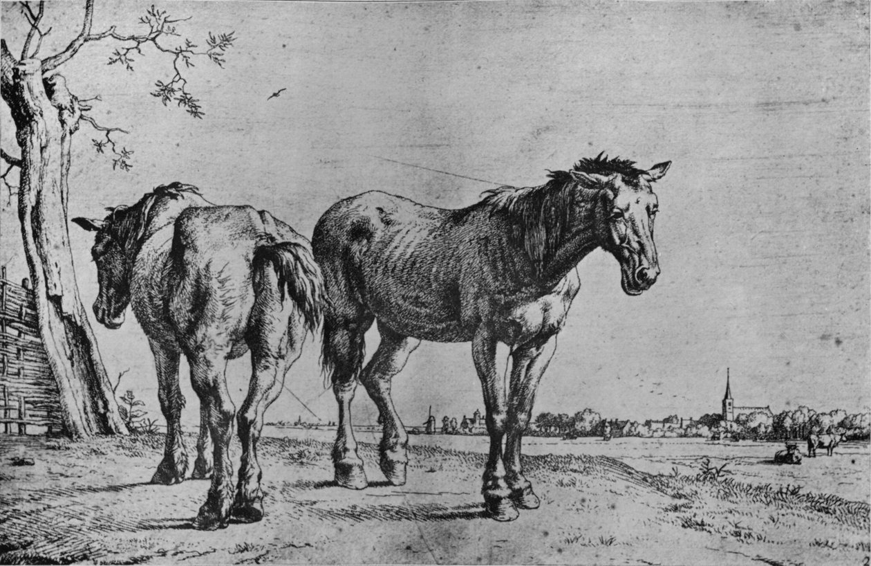 Dva pluhové koně, 1652 od Paulus Potter