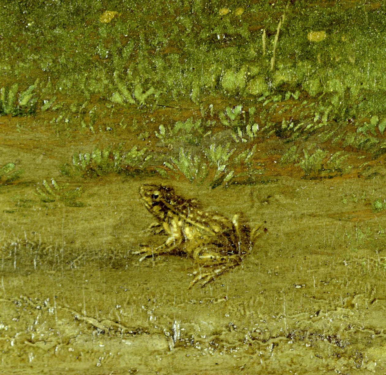 Ropucha, detail Krajana se svým stádem, 1648 (viz 242089) od Paulus Potter