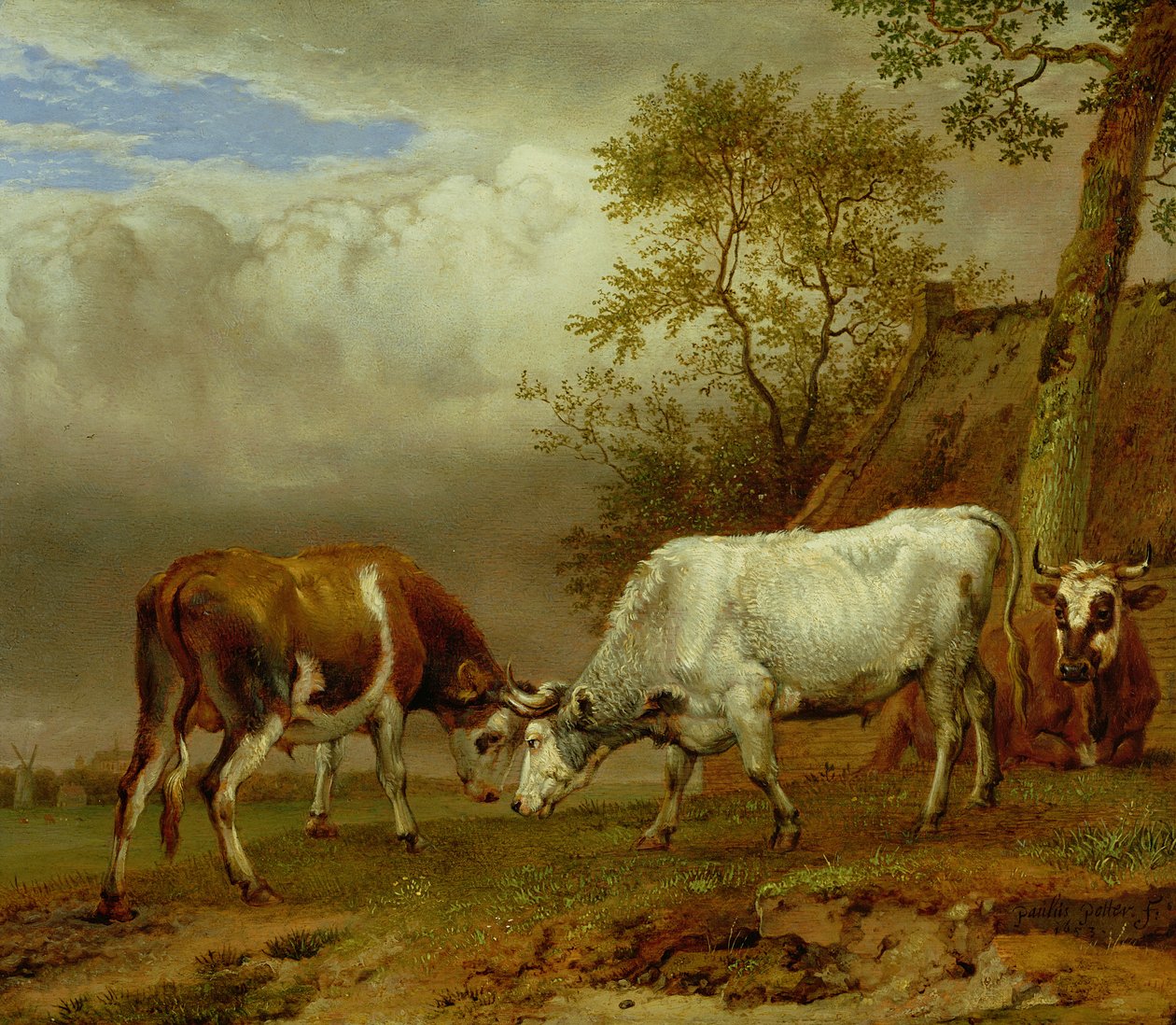 Dva býci se zamčenými rohy, 1653 od Paulus Potter