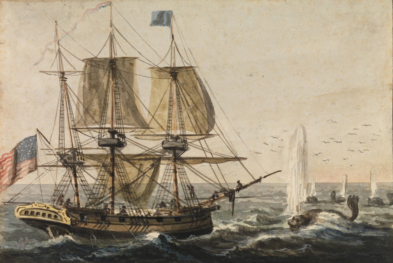Doplnění lodního spižírny treskou u pobřeží Newfoundlandu, 1811-ca. 1813. od Pavel Petrovic Svin