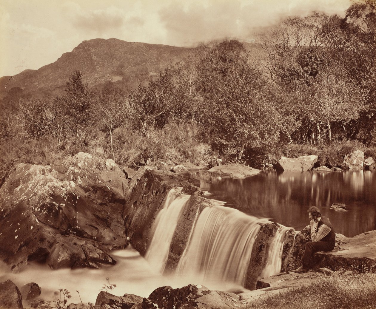 Vodopád, hrabství Wicklow,c. 1870 (foto) od Payne Jennings