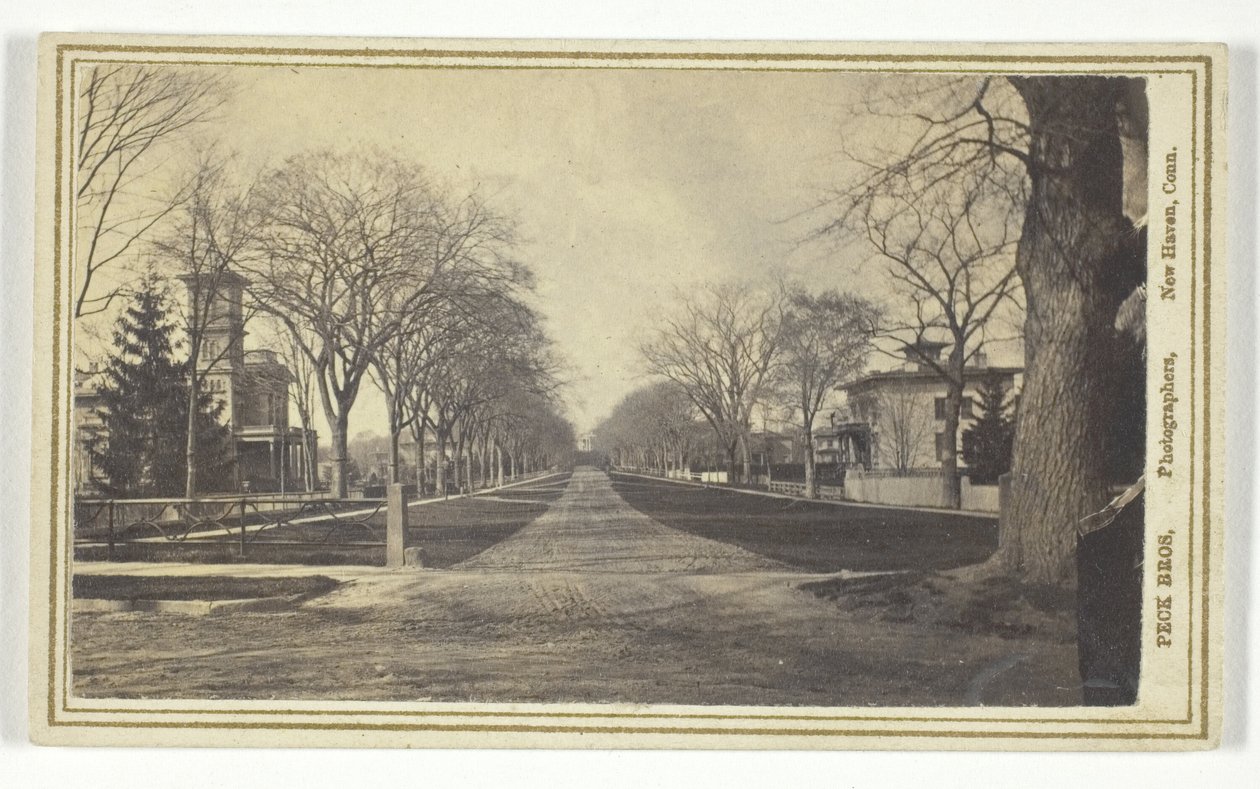 Hillhouse Avenue od Peck Brothers