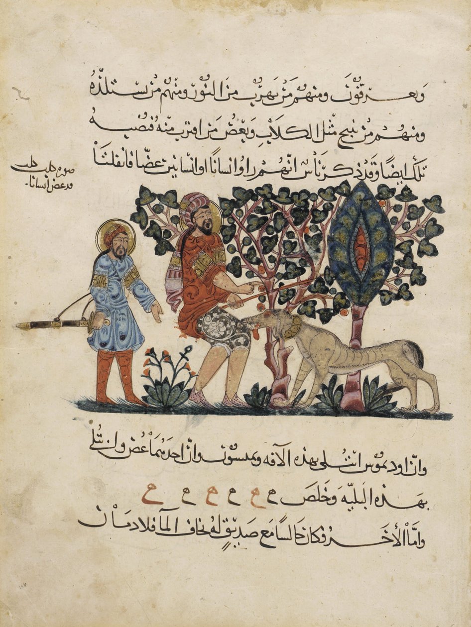 Folio z arabského překladu Materia Medica od Dioscorides od Pedanius Dioscorides