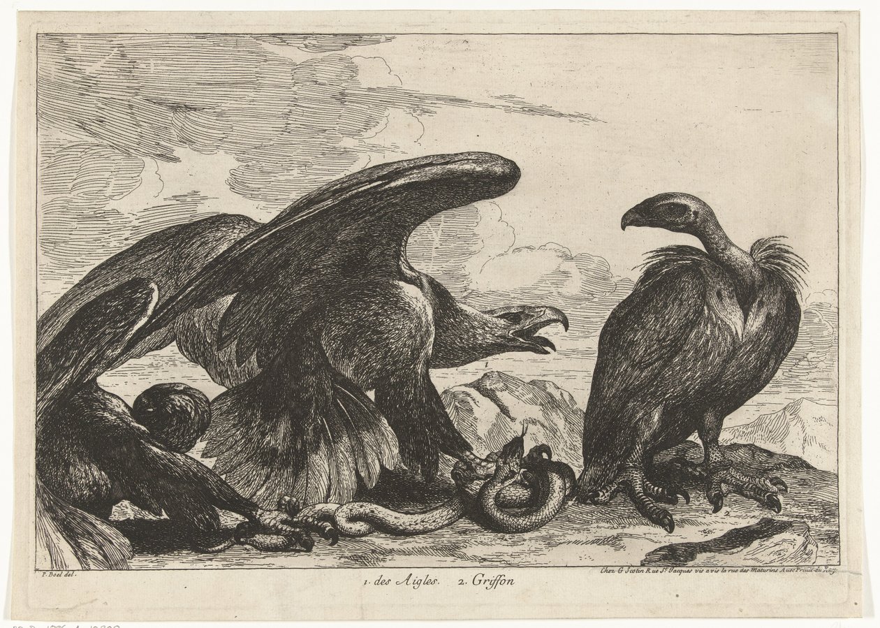 Sup a orel s hadem 1. des Aigles 2. Griffon (titul na předmětu) Ptáci ze zvěřince ve Versailles (název série) od Peeter Boel (attributed to)