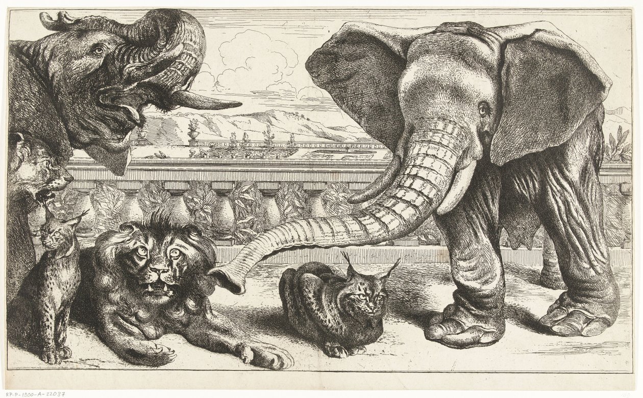 Sloni, lvi a rysi v zahradách Versailles od Peeter Boel (attributed to)