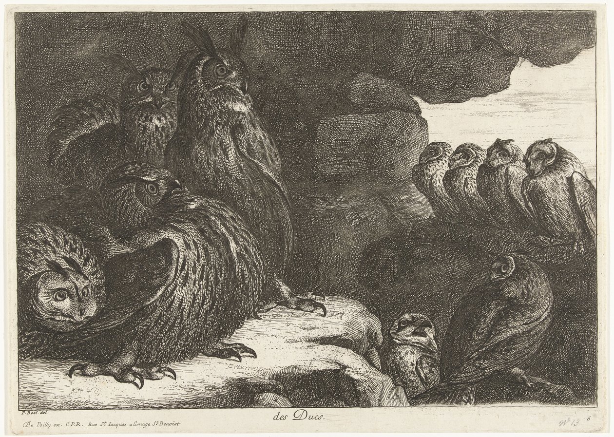 Sovy v jeskyni des Ducs (název na objektu) Ptáci ze zvěřince ve Versailles (název série) od Peeter Boel (attributed to)