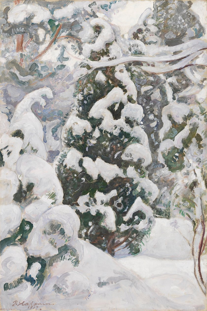 Jalovec ve sněhu od Pekka Halonen